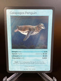 Galapagos Penguin — Birds Holo #22/130 | LIFE TCG | 1st Edition (Pop: 2,000)