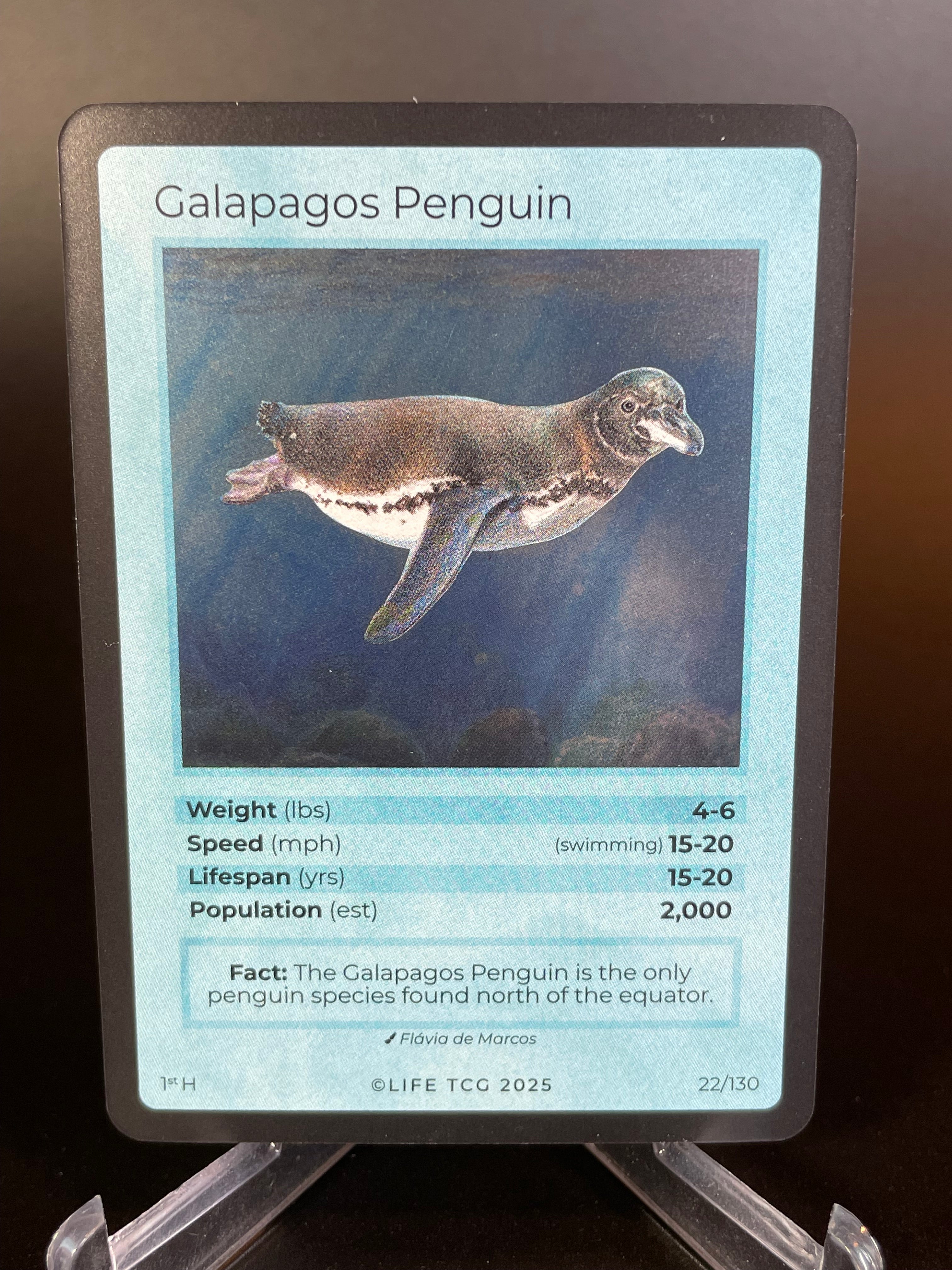 Galapagos Penguin — Birds Holo #22/130 | LIFE TCG | 1st Edition (Pop: 2,000)