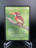 South Philippine Dwarf-Kingfisher — Birds Full Art #34/130 | LIFE TCG | 1st Edition (Pop: 600)