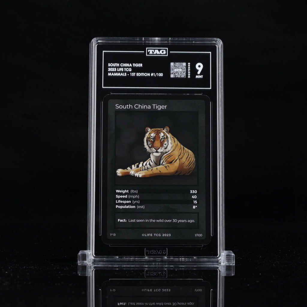 South China Tiger 1/100 - TAG 9 MINT | Life TCG | Mammals 1st Edition | Rare