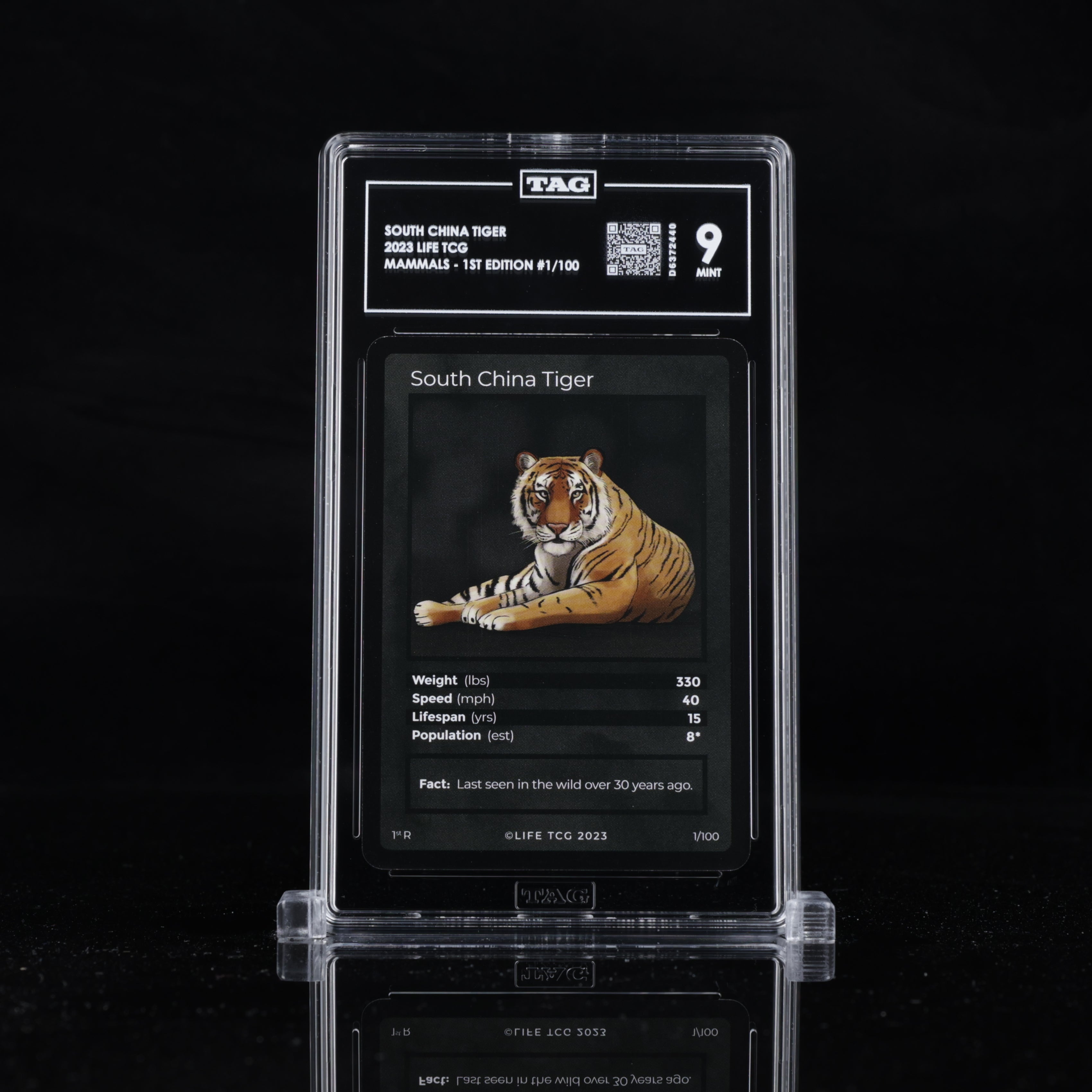 South China Tiger 1/100 - TAG 9 MINT | Life TCG | Mammals 1st Edition | Rare