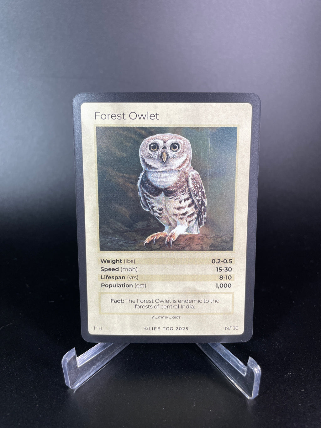 Forest Owlet — Birds Holo #19/130 | LIFE TCG | 1st Edition (Pop: 1,000)