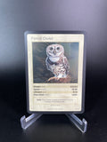 Forest Owlet — Birds Holo #19/130 | LIFE TCG | 1st Edition (Pop: 1,000)