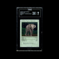 Borneo Pygmy Elephant #22/100 - TAG 9 MINT | LIFE TCG | Mammals 1st Edition | Holo