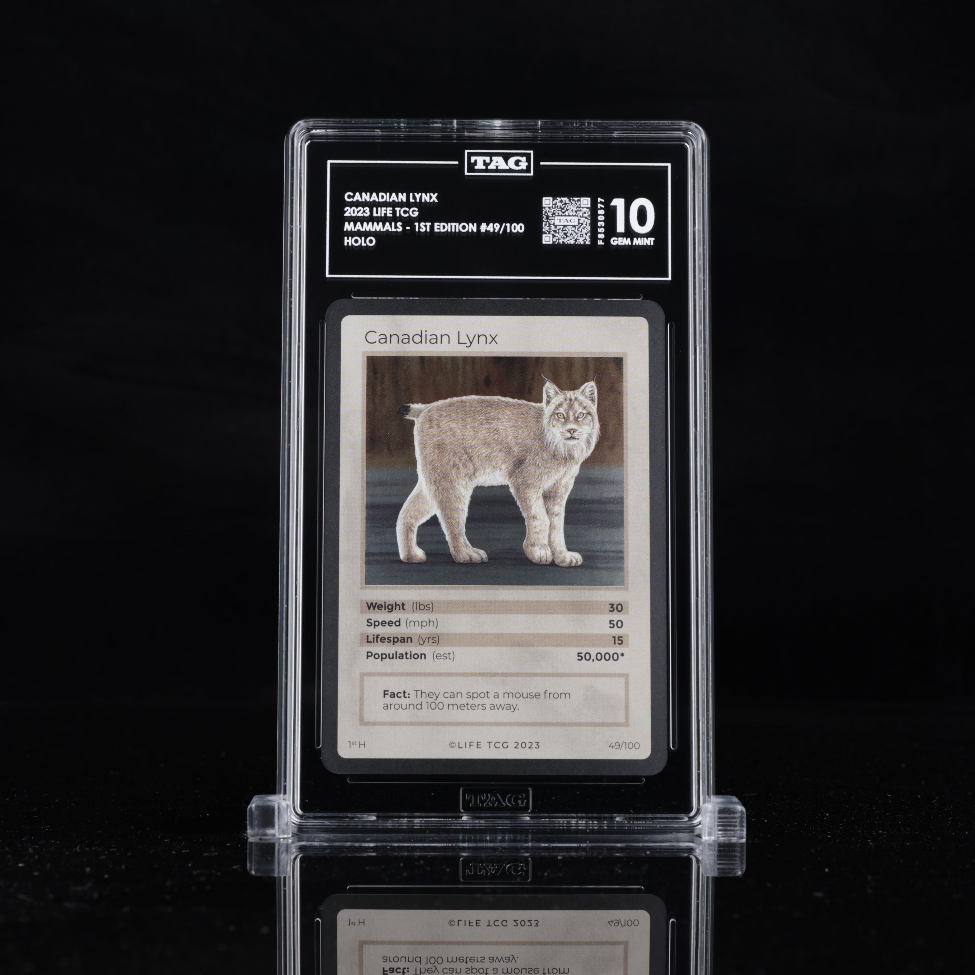 Canadian Lynx - TAG 10 GEM MINT | Life TCG | Mammals 1st Edition | Holo