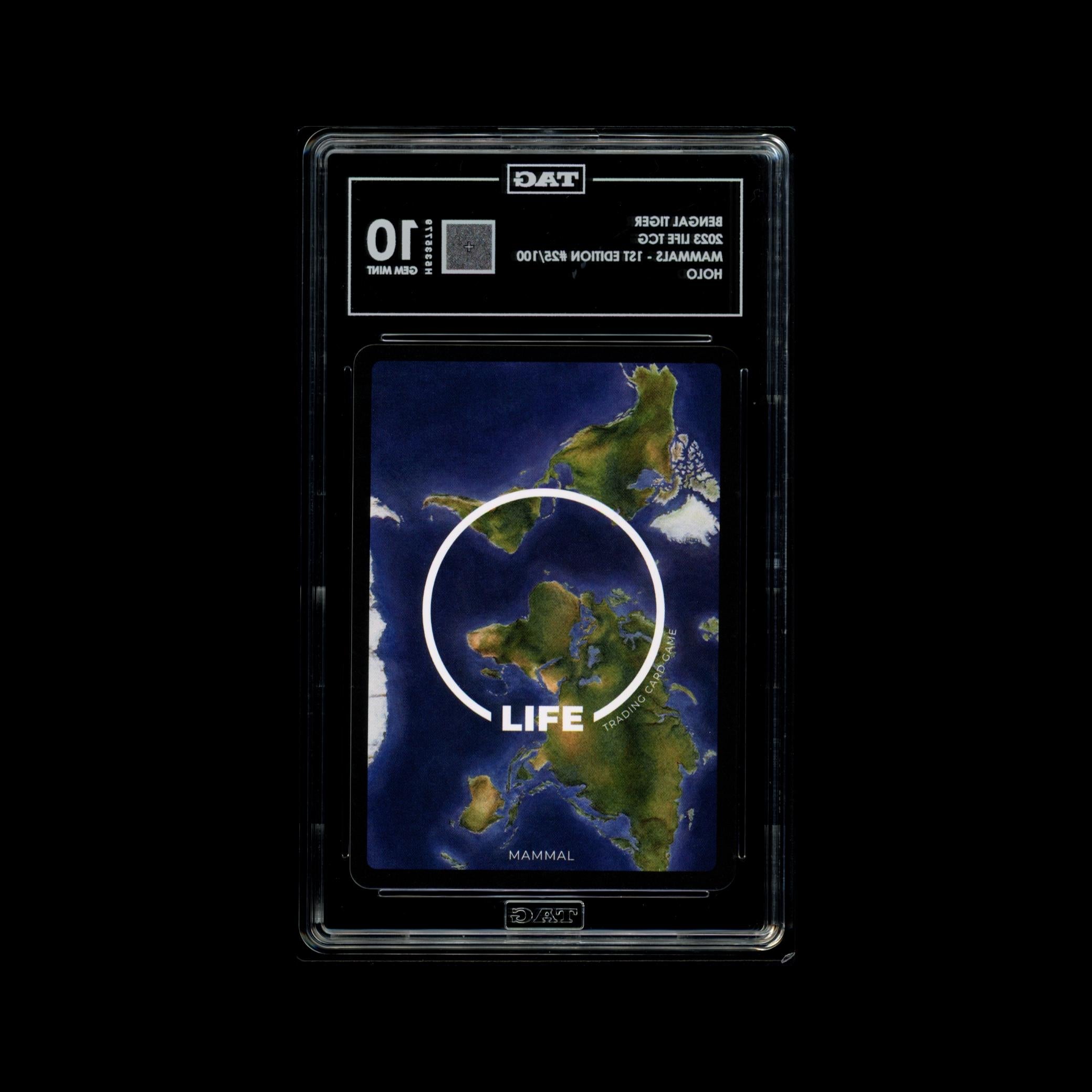 Bengal Tiger #25/100 - TAG 10 GEM MINT | LIFE TCG | Mammals 1st Edition | Holo