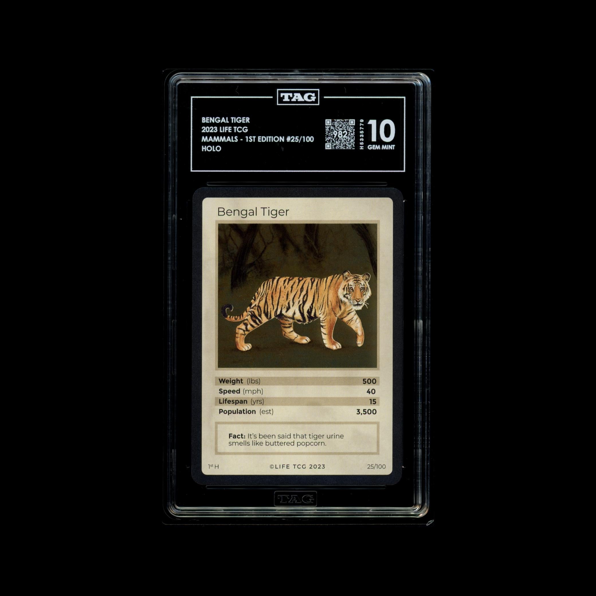 Bengal Tiger #25/100 - TAG 10 GEM MINT | LIFE TCG | Mammals 1st Edition | Holo