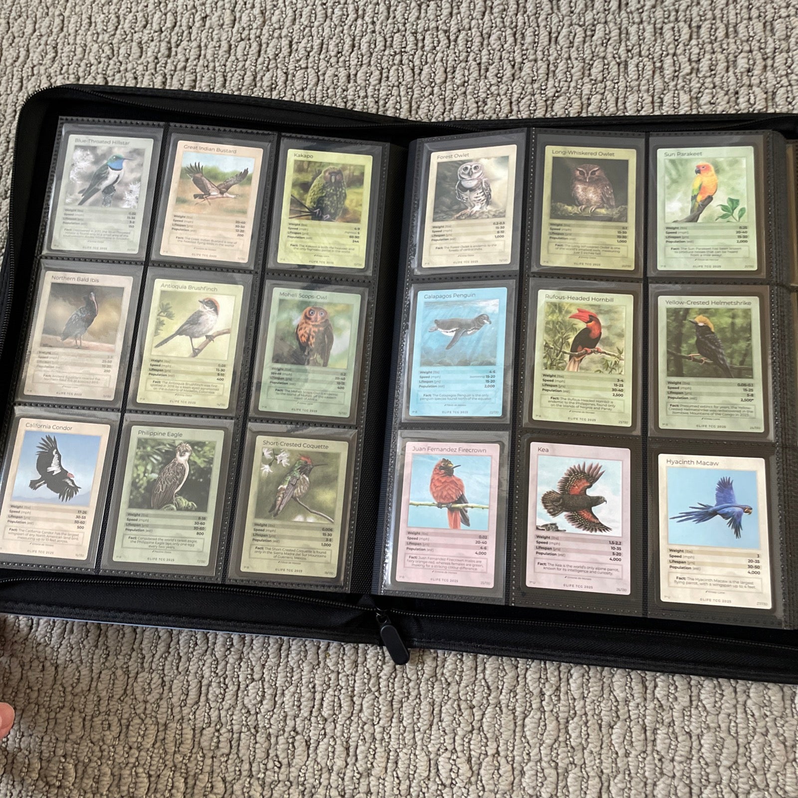 Life TCG Birds Complete Advanced Set - Includes All Pop 500 and Higher Cards