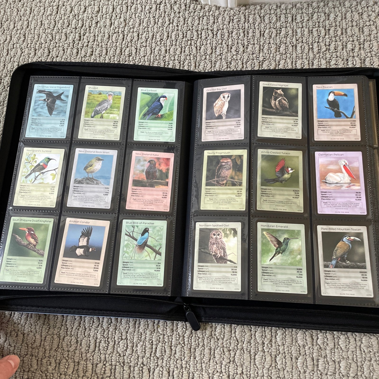 Life TCG Birds Complete Advanced Set - Includes All Pop 500 and Higher Cards