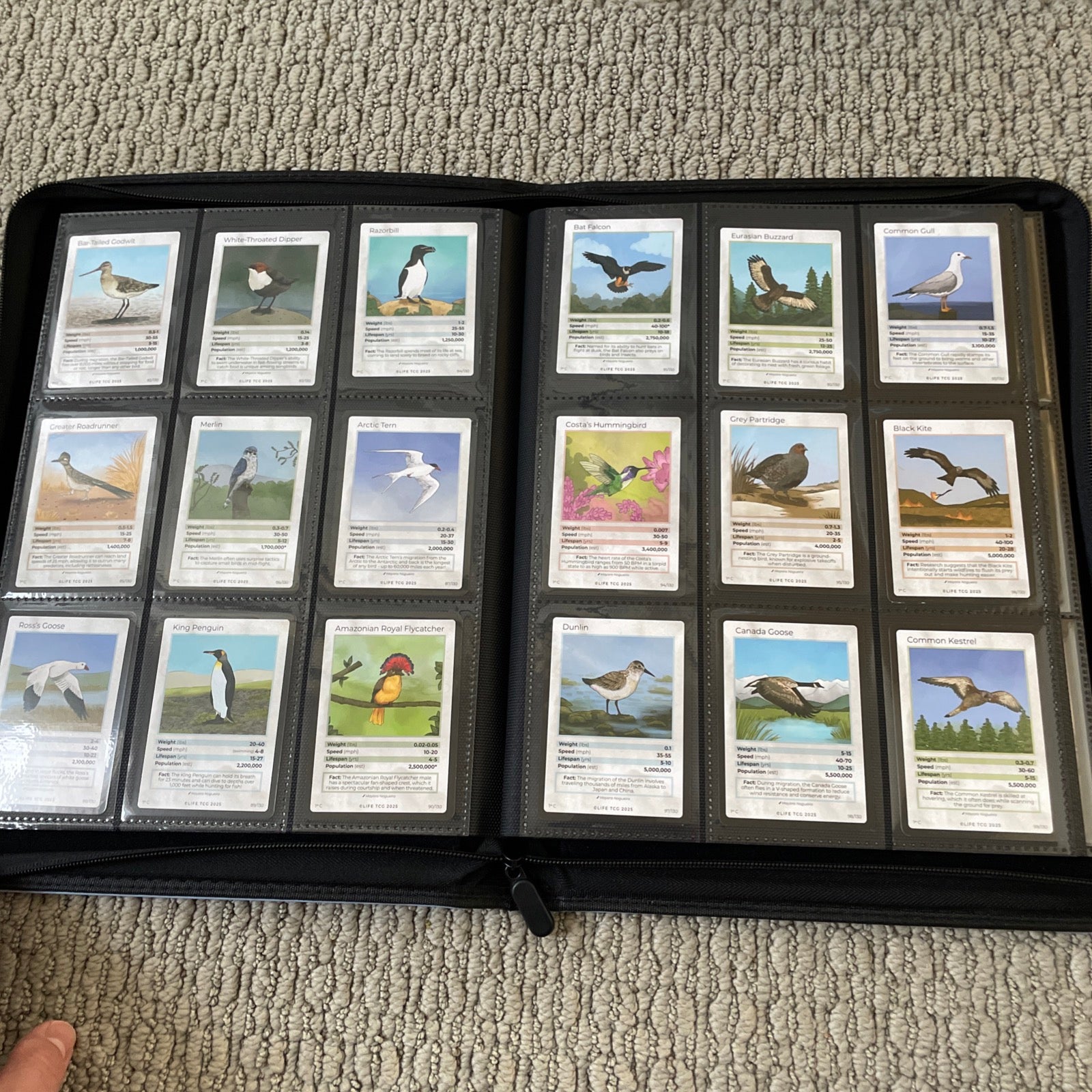 Life TCG Birds Complete Advanced Set - Includes All Pop 500 and Higher Cards