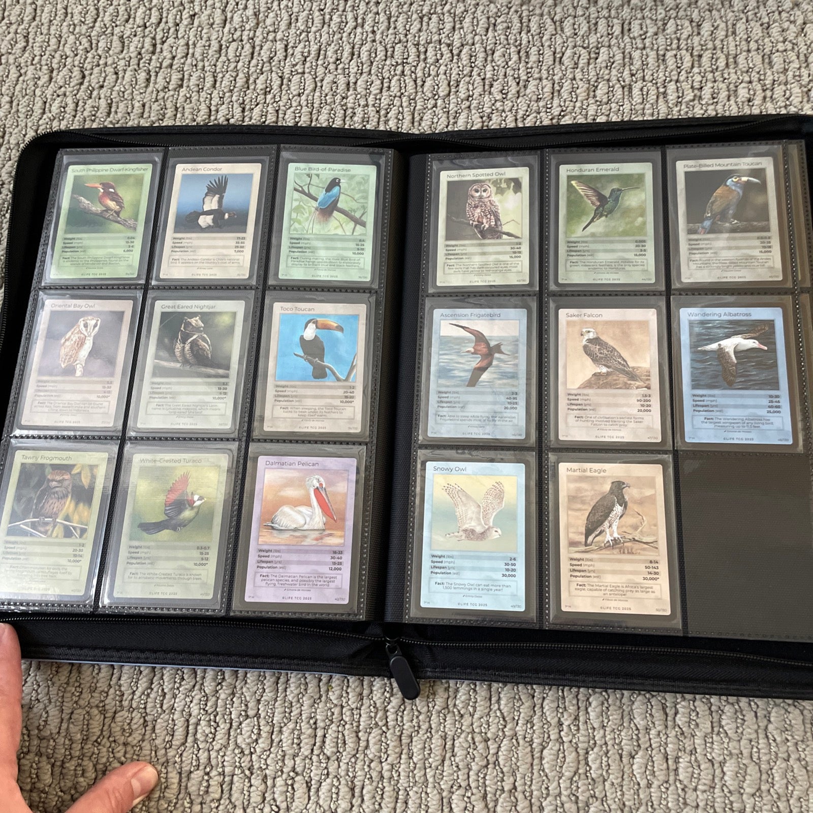 Life TCG Birds Complete Advanced Set - Includes All Pop 500 and Higher Cards