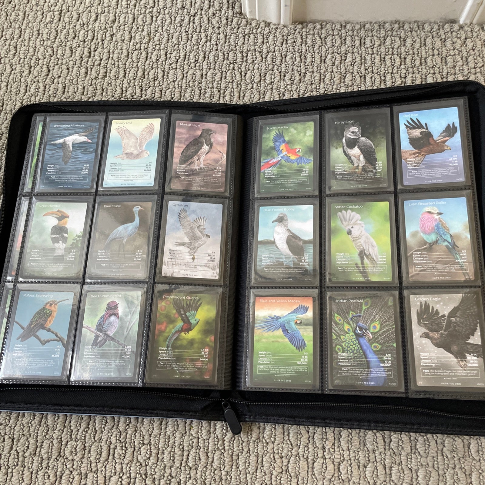 Life TCG Birds Complete Advanced Set - Includes All Pop 500 and Higher Cards