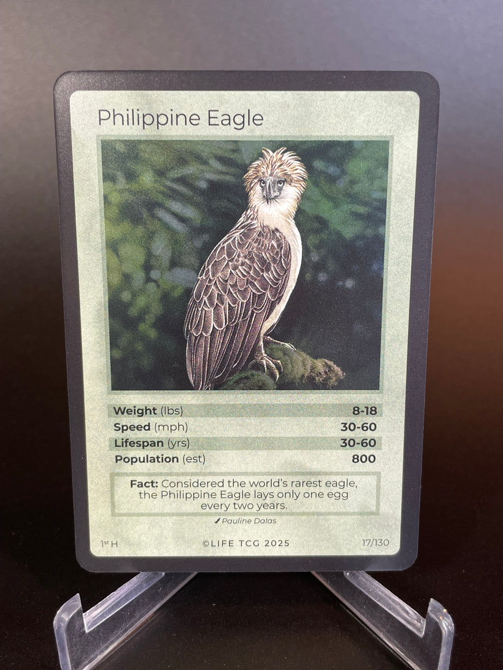 Philippine Eagle — Birds Holo #17/130 | LIFE TCG | 1st Edition (Pop: 800)