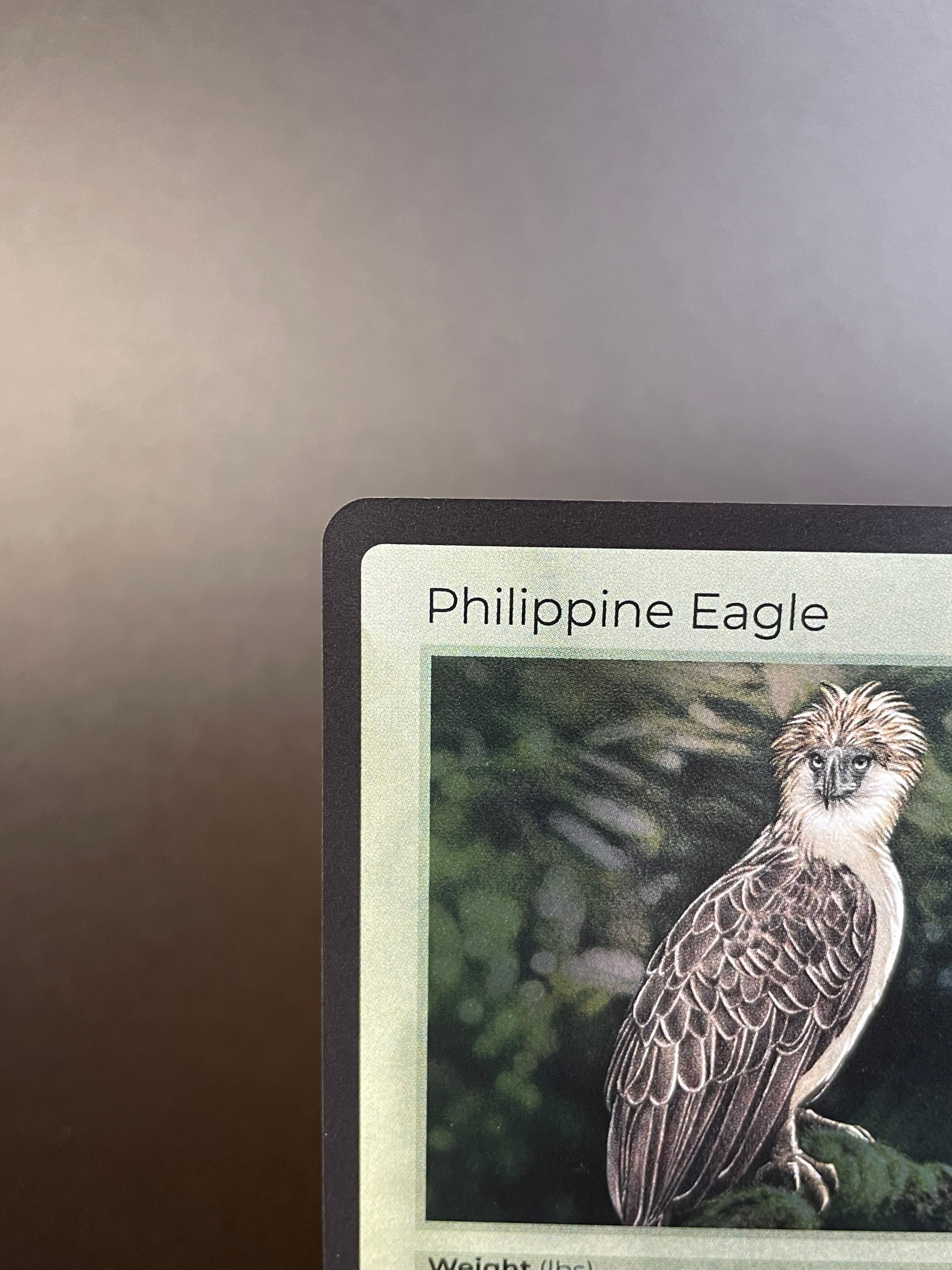Philippine Eagle — Birds Holo #17/130 | LIFE TCG | 1st Edition (Pop: 800)
