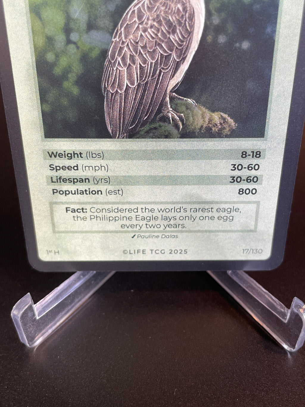 Philippine Eagle — Birds Holo #17/130 | LIFE TCG | 1st Edition (Pop: 800)