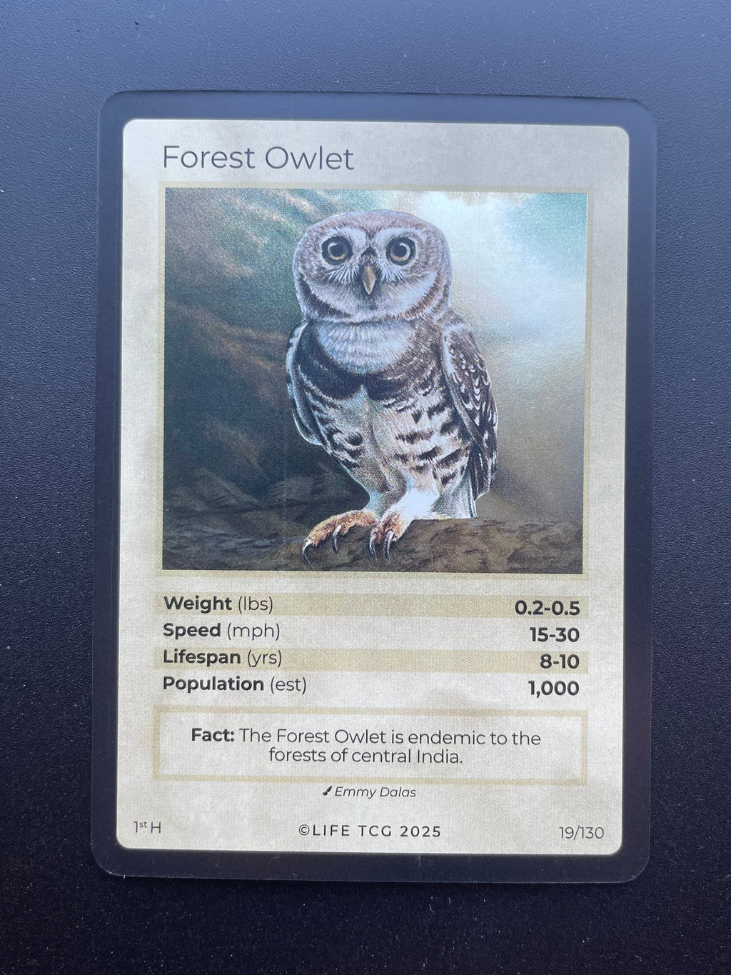 Forest Owlet — Birds Holo #19/130 | LIFE TCG | 1st Edition (Pop: 1,000)