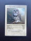 Forest Owlet — Birds Holo #19/130 | LIFE TCG | 1st Edition (Pop: 1,000)