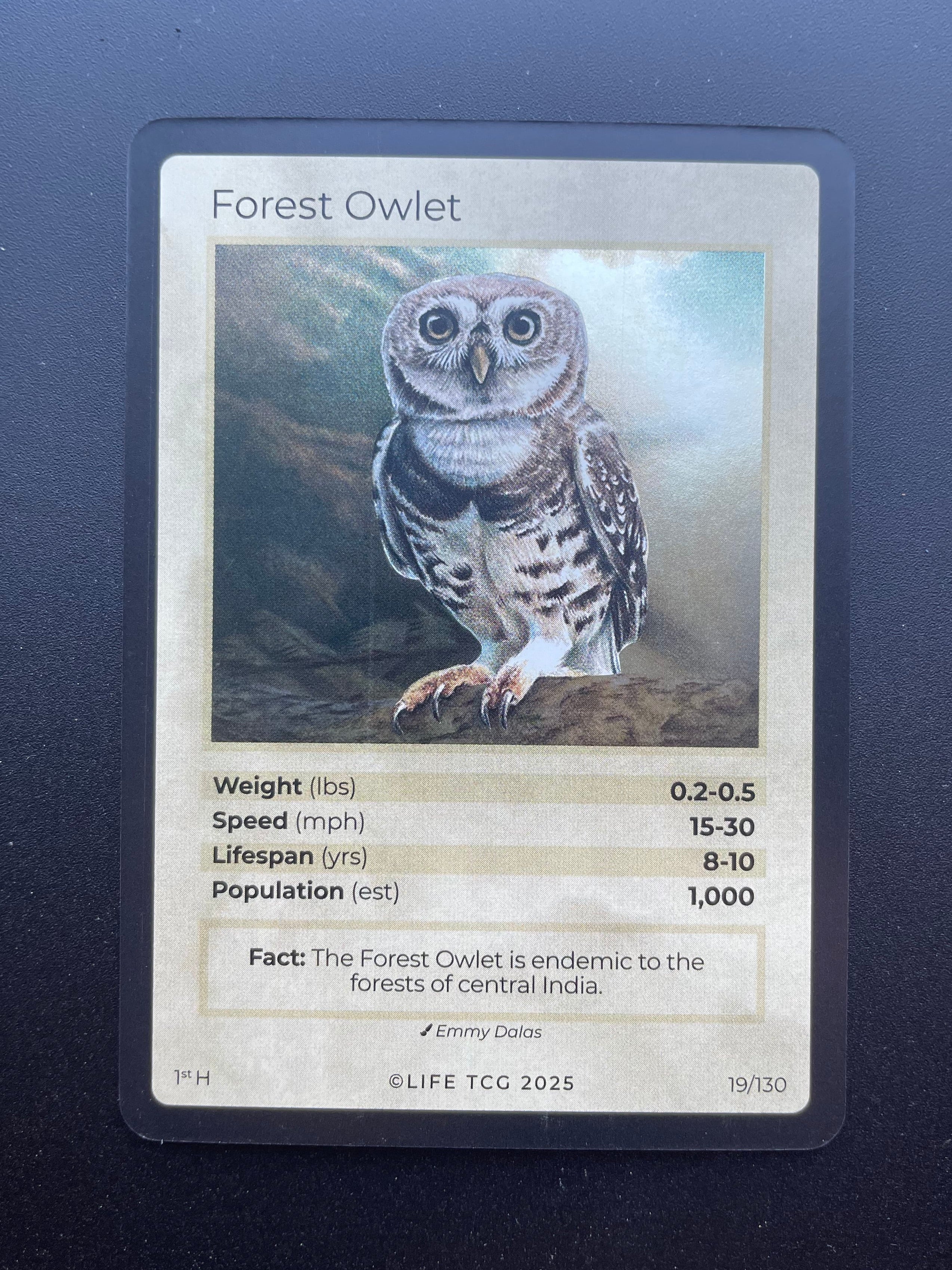 Forest Owlet — Birds Holo #19/130 | LIFE TCG | 1st Edition (Pop: 1,000)