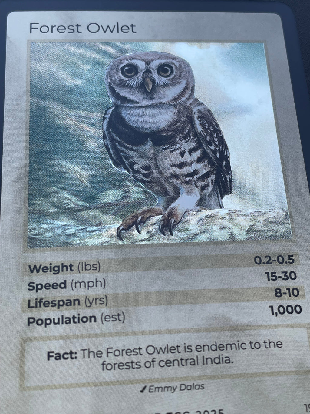 Forest Owlet — Birds Holo #19/130 | LIFE TCG | 1st Edition (Pop: 1,000)