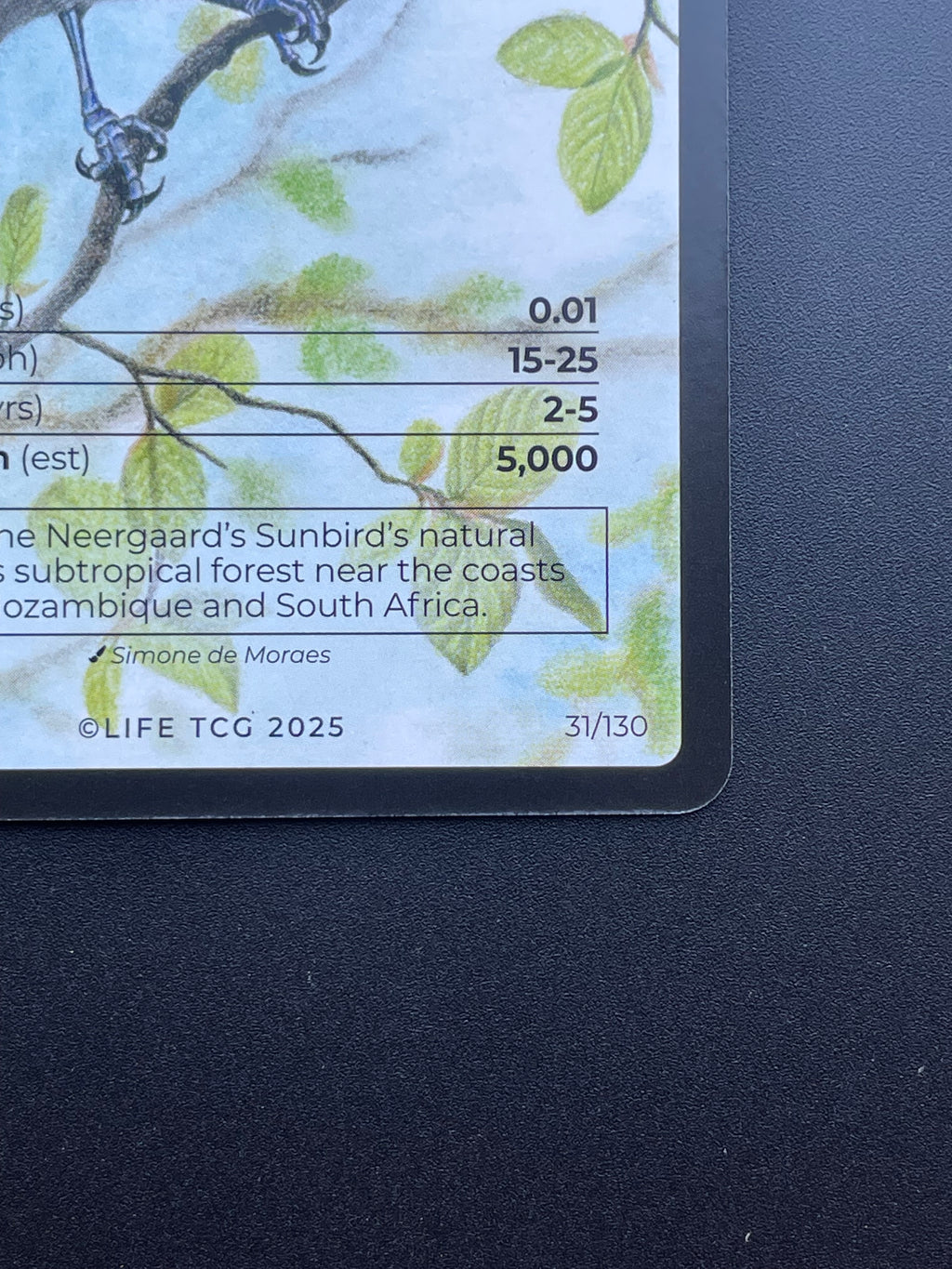Neergaard's Sunbird — Birds Full Art #31/130 | LIFE TCG | 1st Edition (Pop: 500)