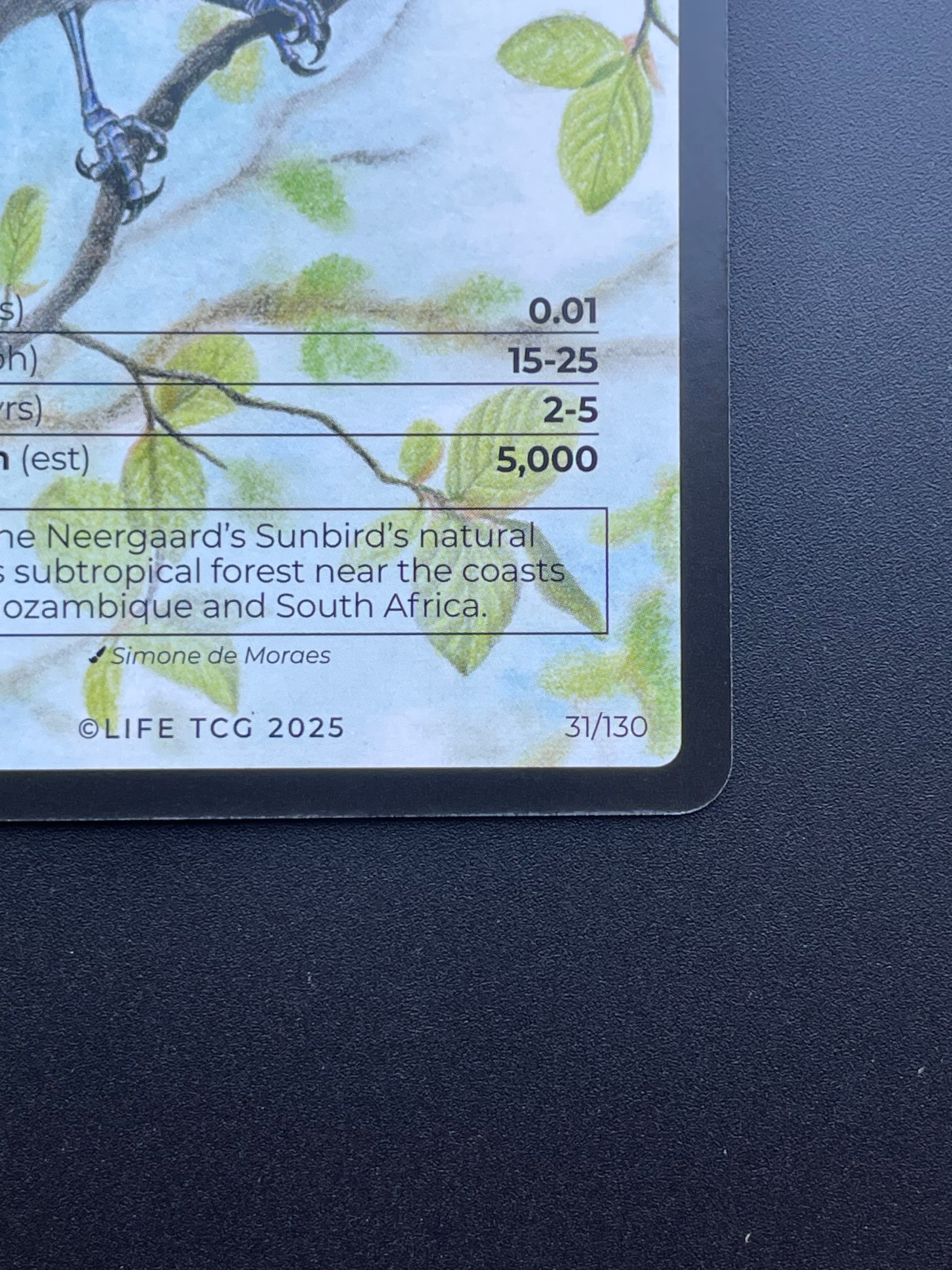 Neergaard's Sunbird — Birds Full Art #31/130 | LIFE TCG | 1st Edition (Pop: 500)