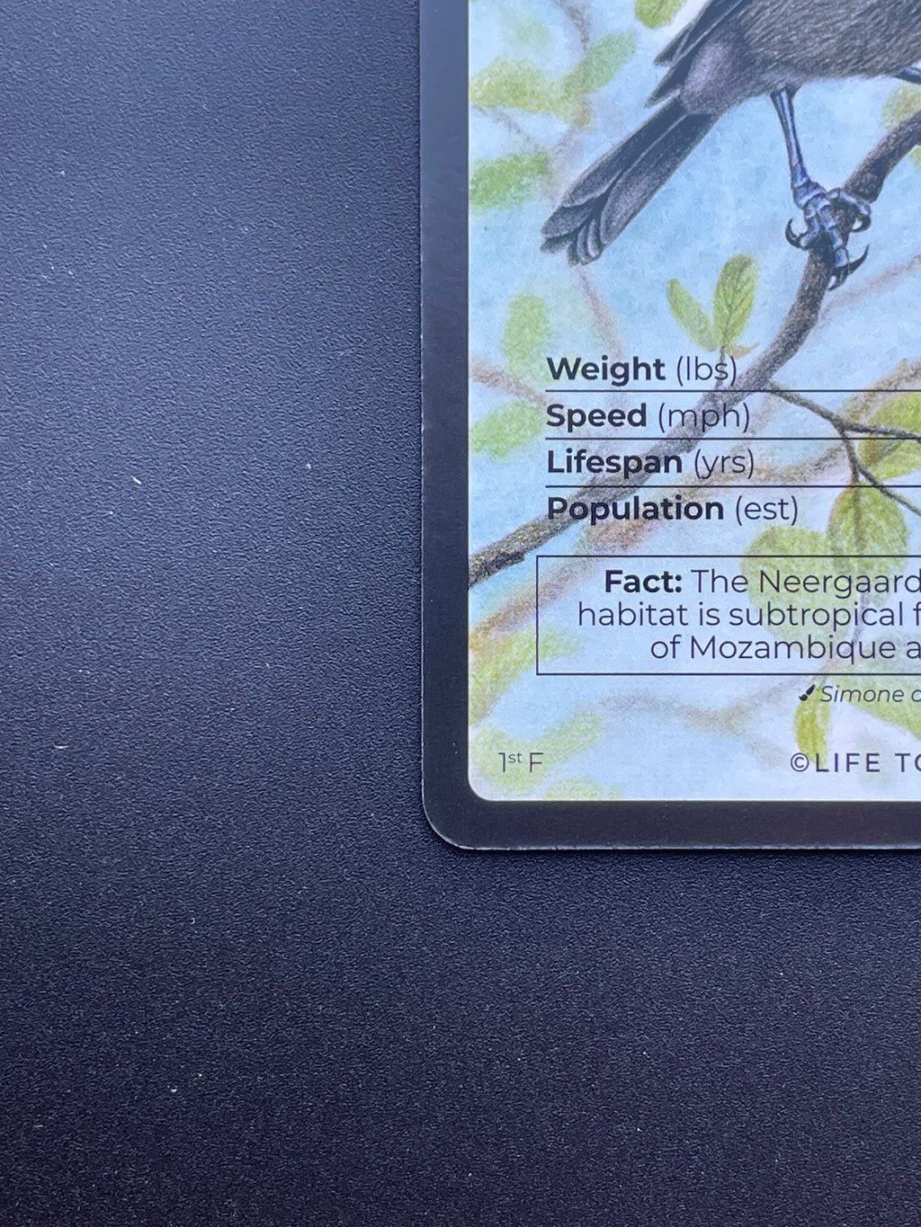 Neergaard's Sunbird — Birds Full Art #31/130 | LIFE TCG | 1st Edition (Pop: 500)