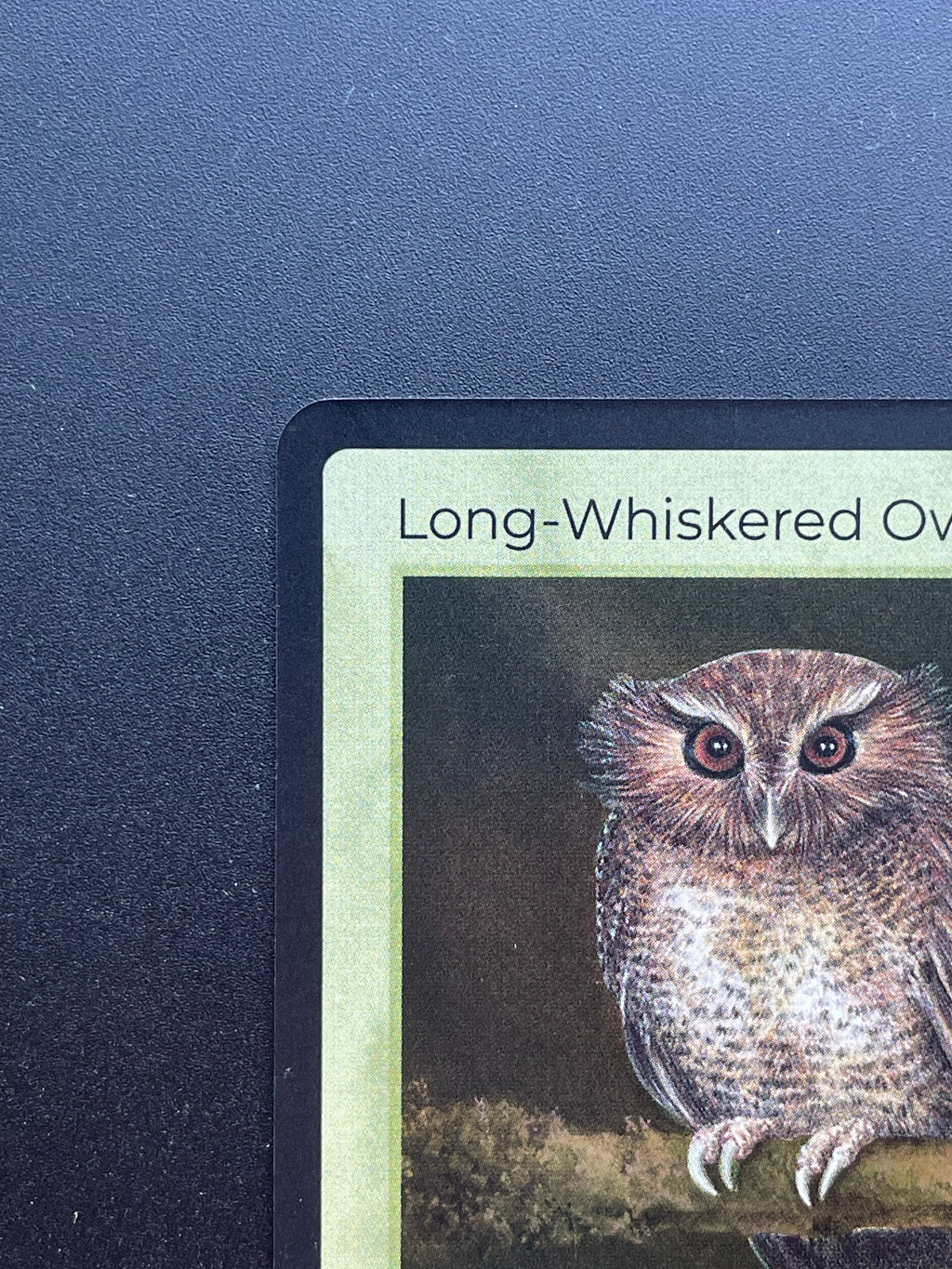 Long-Whiskered Owlet — Birds Holo #20/130 | LIFE TCG | 1st Edition (Pop: 1,000)