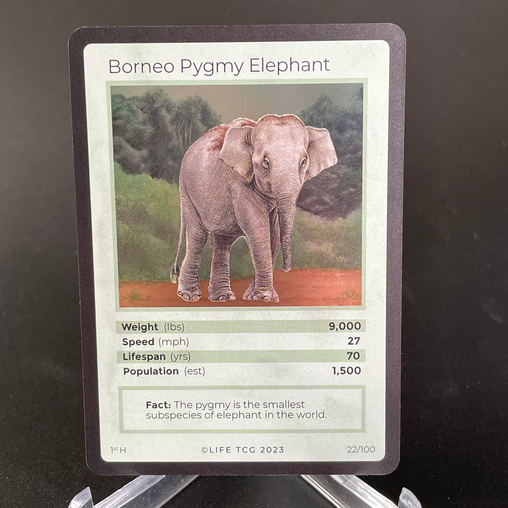 Borneo Pygmy Elephant — Mammals Holo #22/100 | LIFE TCG | 1st Edition (Pop: 1,500)
