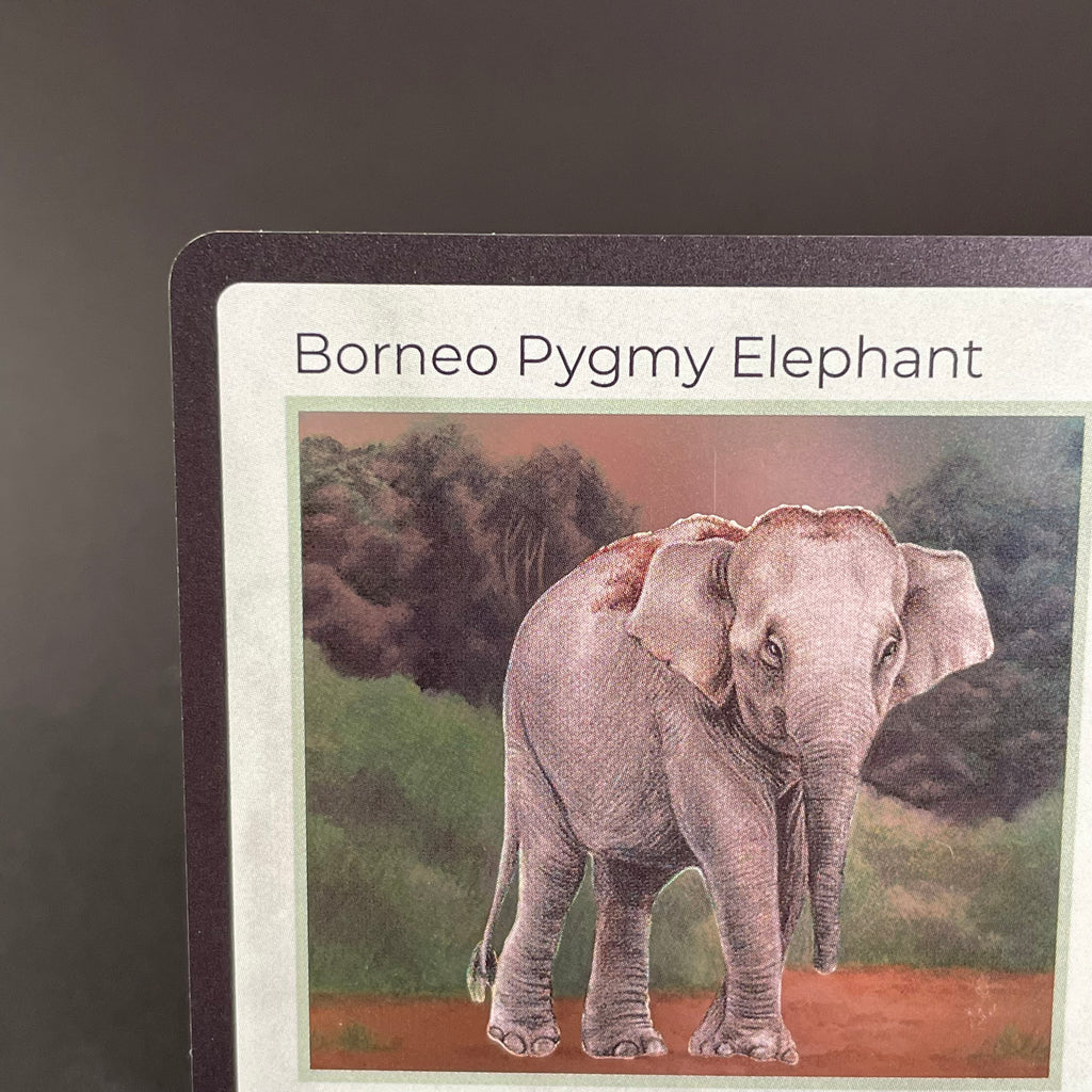 Borneo Pygmy Elephant — Mammals Holo #22/100 | LIFE TCG | 1st Edition (Pop: 1,500)