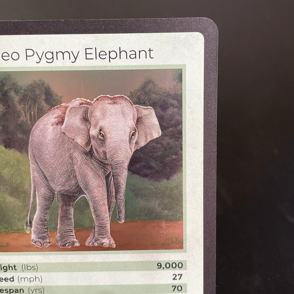 Borneo Pygmy Elephant — Mammals Holo #22/100 | LIFE TCG | 1st Edition (Pop: 1,500)