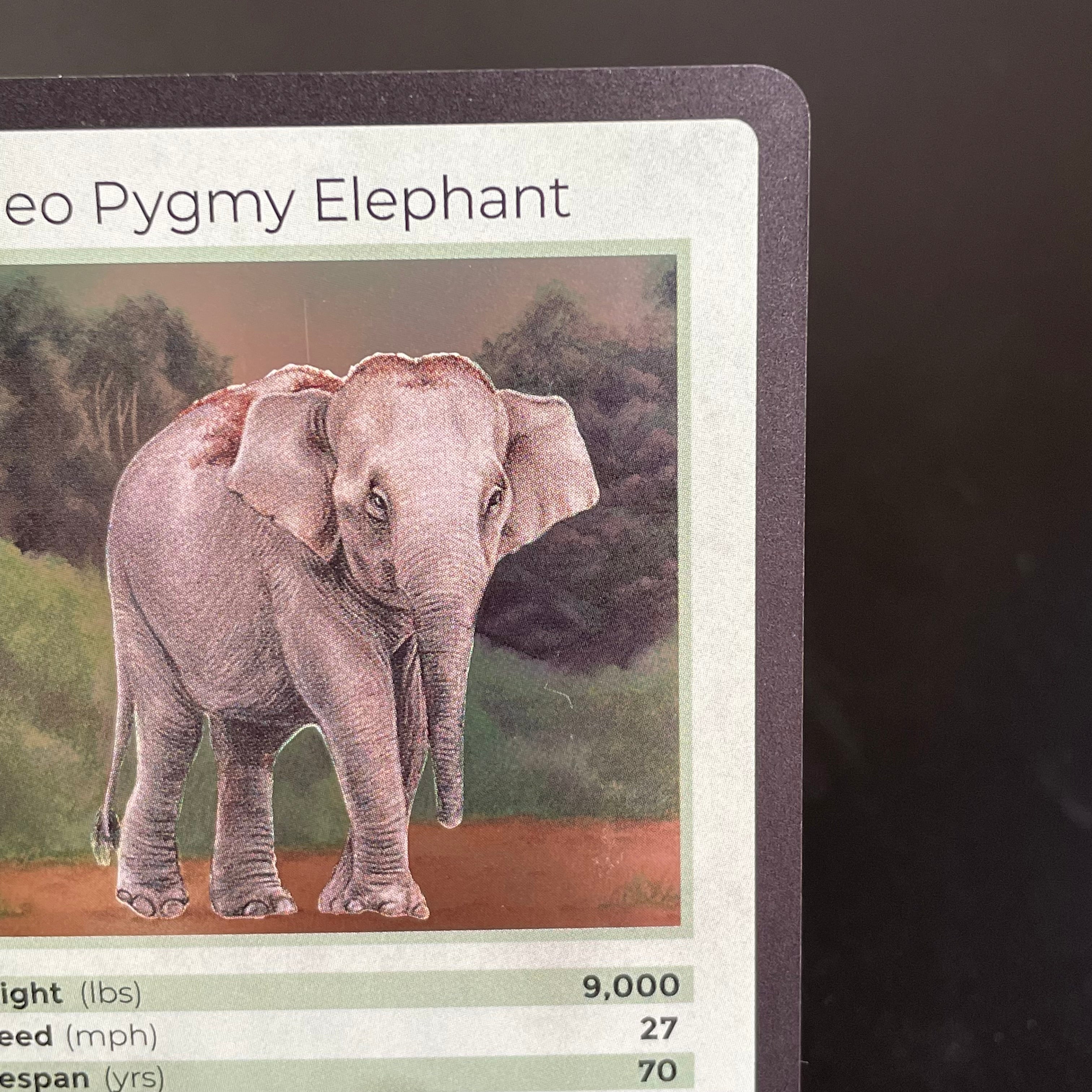 Borneo Pygmy Elephant — Mammals Holo #22/100 | LIFE TCG | 1st Edition (Pop: 1,500)