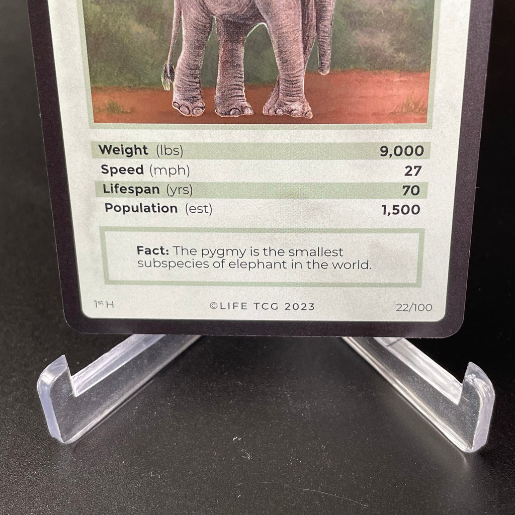Borneo Pygmy Elephant — Mammals Holo #22/100 | LIFE TCG | 1st Edition (Pop: 1,500)
