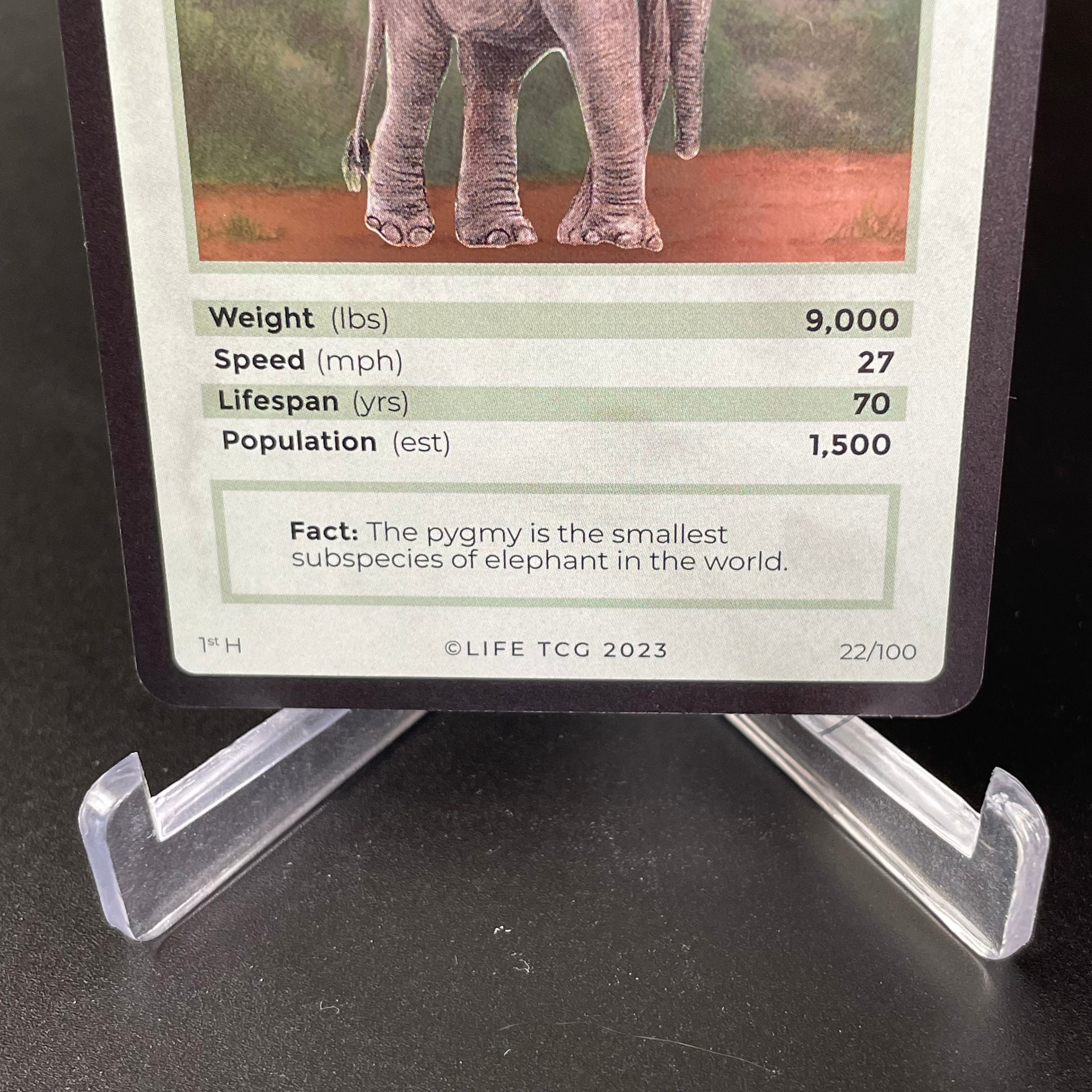Borneo Pygmy Elephant — Mammals Holo #22/100 | LIFE TCG | 1st Edition (Pop: 1,500)