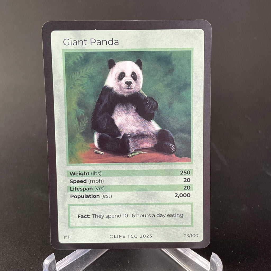 Giant Panda (Alpha print) — Mammals Holo #23/100 | LIFE TCG | 1st Edition (Pop: 920)