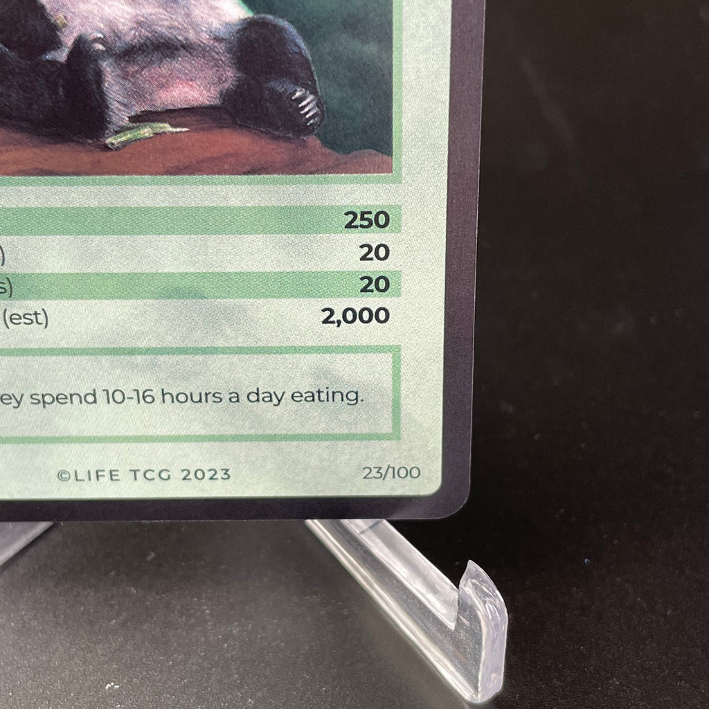 Giant Panda (Alpha print) — Mammals Holo #23/100 | LIFE TCG | 1st Edition (Pop: 920)