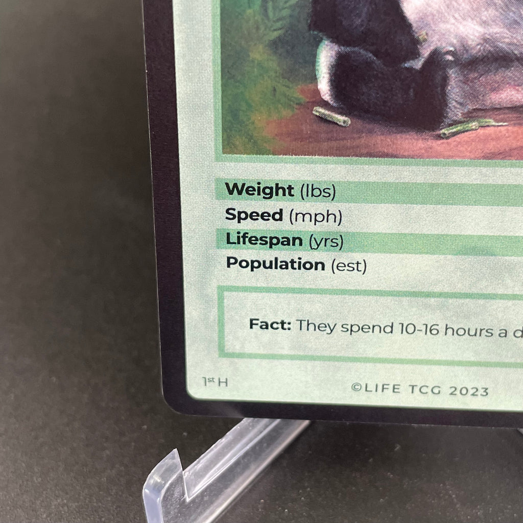 Giant Panda (Alpha print) — Mammals Holo #23/100 | LIFE TCG | 1st Edition (Pop: 920)