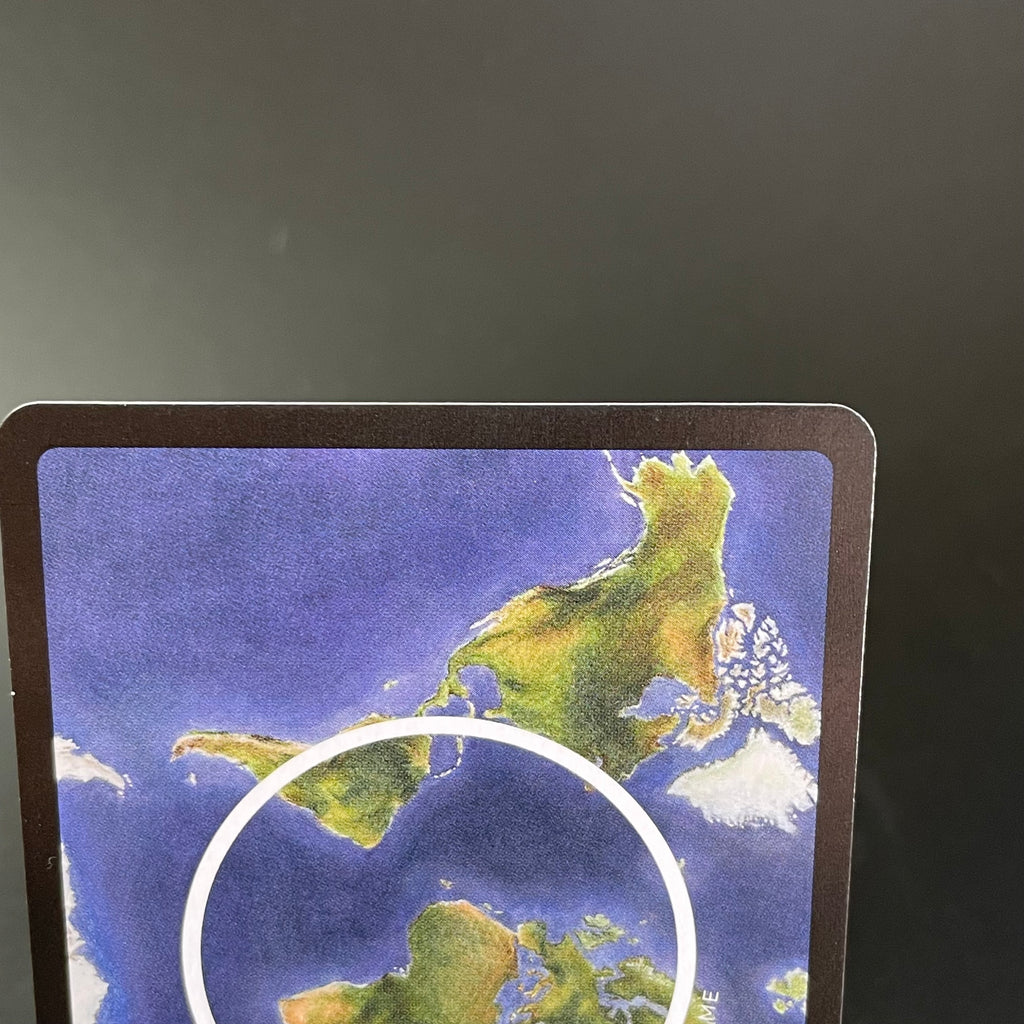 Giant Panda (Alpha print) — Mammals Holo #23/100 | LIFE TCG | 1st Edition (Pop: 920)