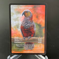 New Zealand Kaka — Birds Full Art #33/130 | LIFE TCG | 1st Edition (Pop: 600)