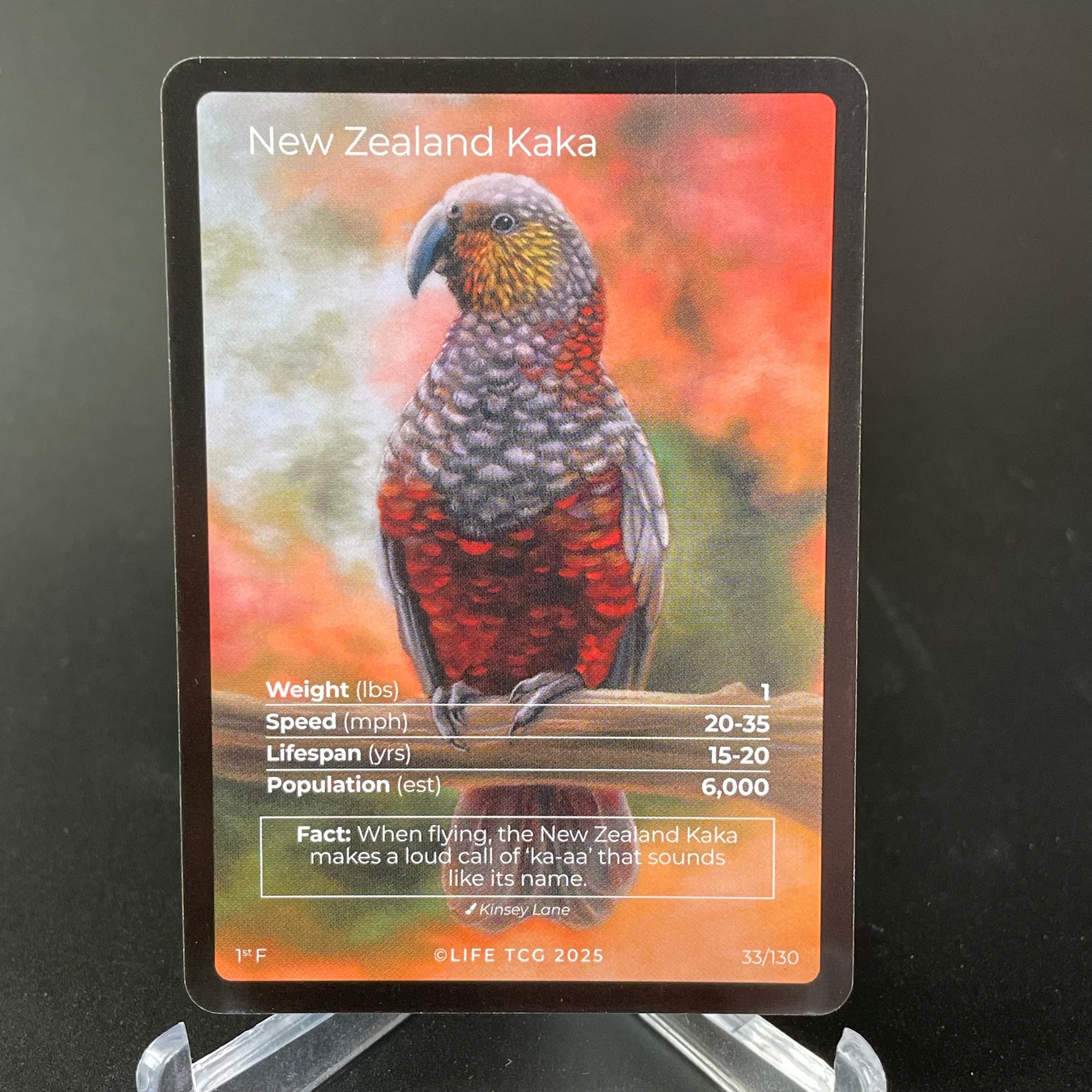 New Zealand Kaka — Birds Full Art #33/130 | LIFE TCG | 1st Edition (Pop: 600)