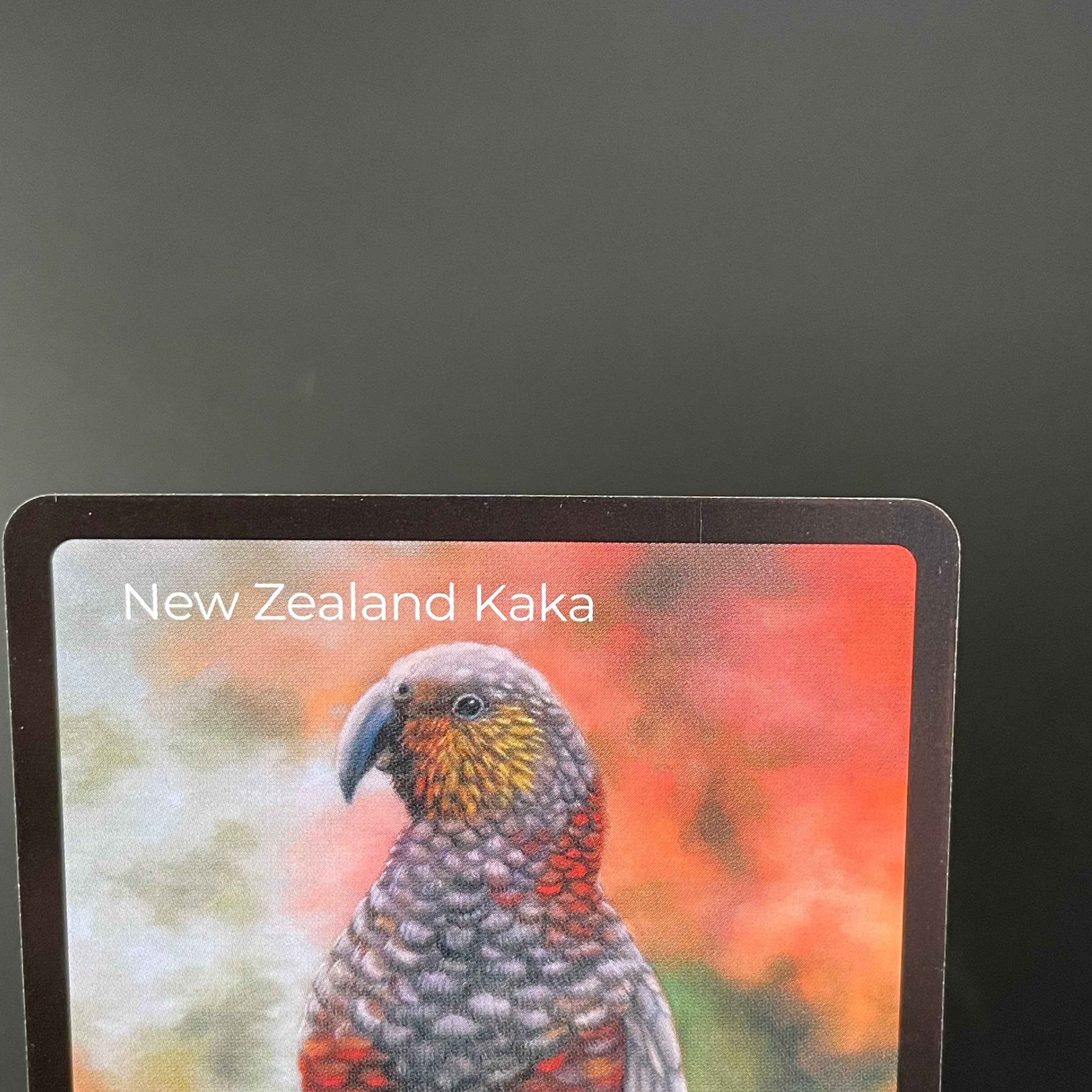 New Zealand Kaka — Birds Full Art #33/130 | LIFE TCG | 1st Edition (Pop: 600)