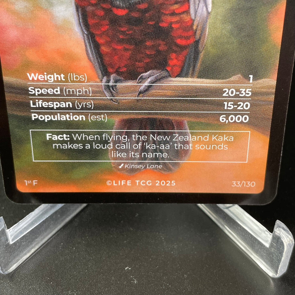 New Zealand Kaka — Birds Full Art #33/130 | LIFE TCG | 1st Edition (Pop: 600)