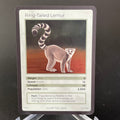 Ring-Tailed Lemur — Mammals Holo #24/100 | LIFE TCG | 1st Edition (Pop: 2,500)