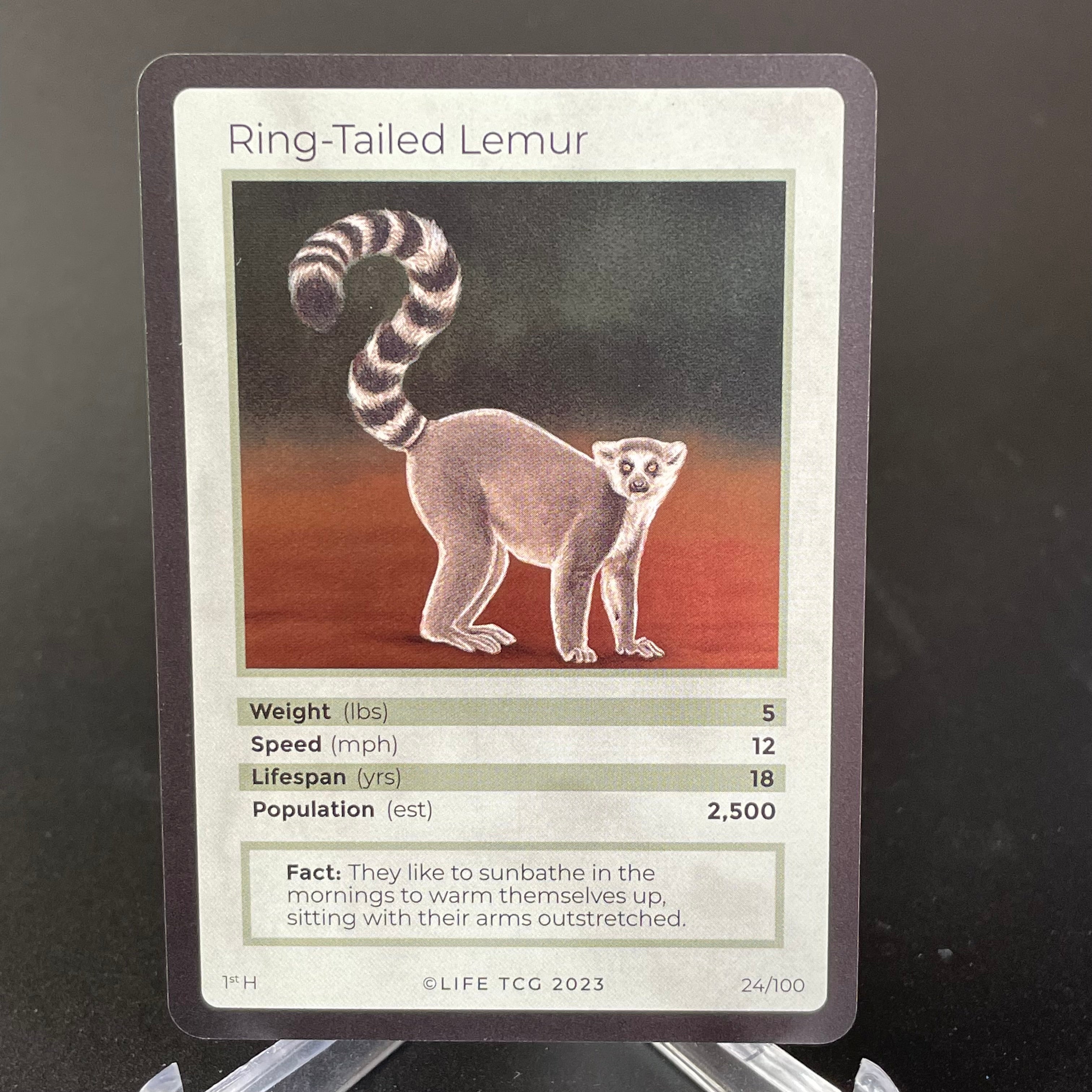 Ring-Tailed Lemur — Mammals Holo #24/100 | LIFE TCG | 1st Edition (Pop: 2,500)