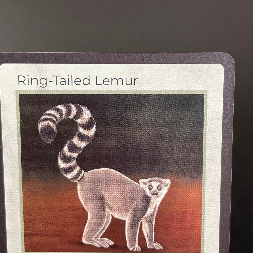 Ring-Tailed Lemur — Mammals Holo #24/100 | LIFE TCG | 1st Edition (Pop: 2,500)
