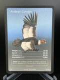 Andean Condor — Birds Full Art #35/130 | LIFE TCG | 1st Edition (Pop: 700)