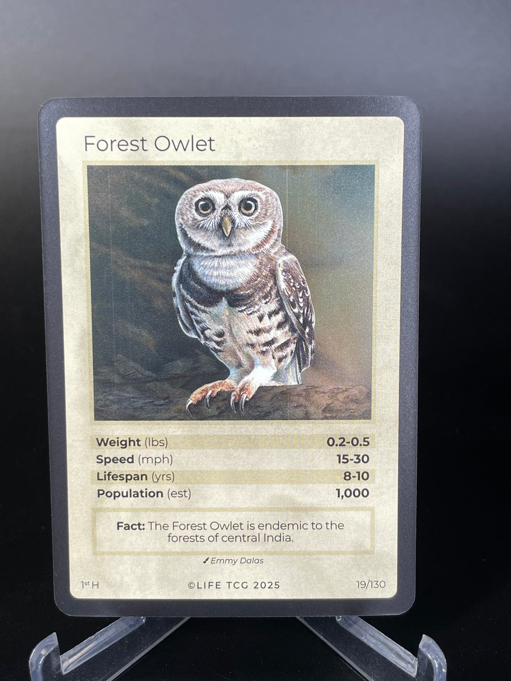 Forest Owlet — Birds Holo #19/130 | LIFE TCG | 1st Edition (Pop: 1,000)
