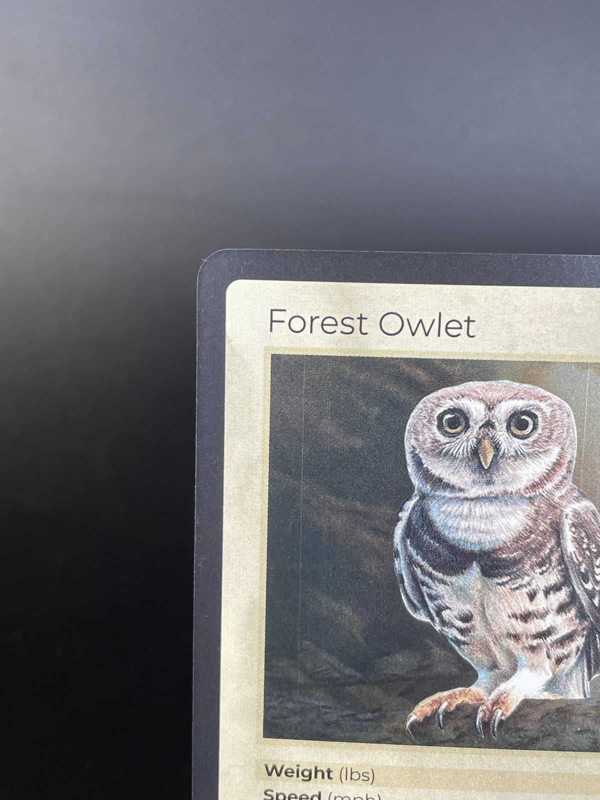 Forest Owlet — Birds Holo #19/130 | LIFE TCG | 1st Edition (Pop: 1,000)