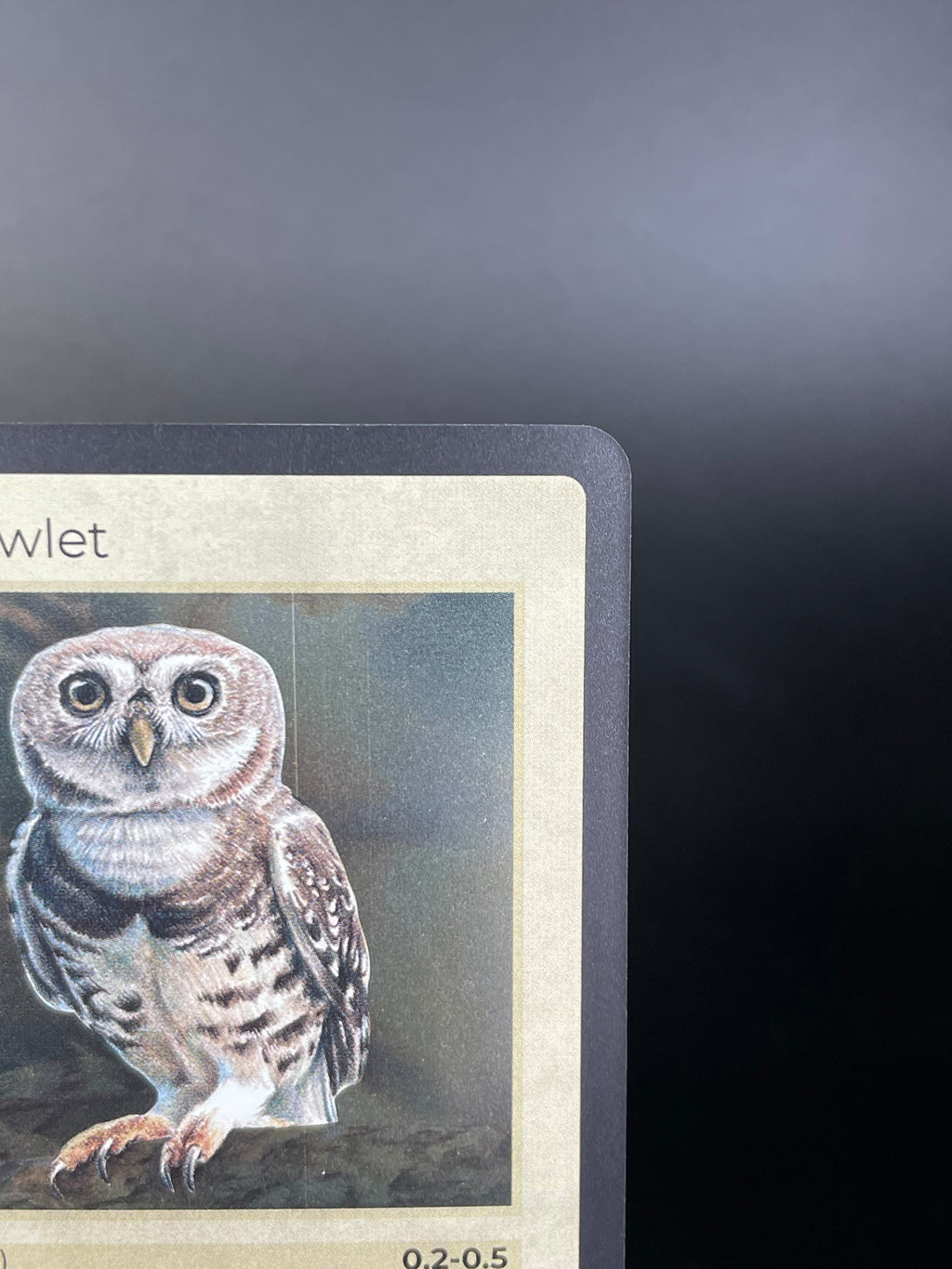 Forest Owlet — Birds Holo #19/130 | LIFE TCG | 1st Edition (Pop: 1,000)