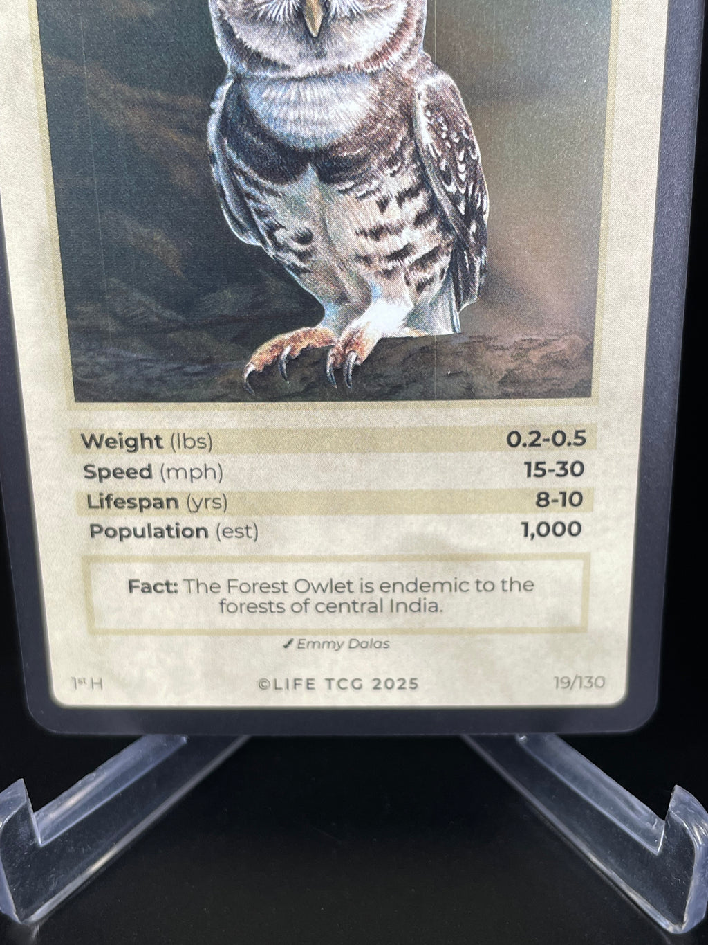 Forest Owlet — Birds Holo #19/130 | LIFE TCG | 1st Edition (Pop: 1,000)
