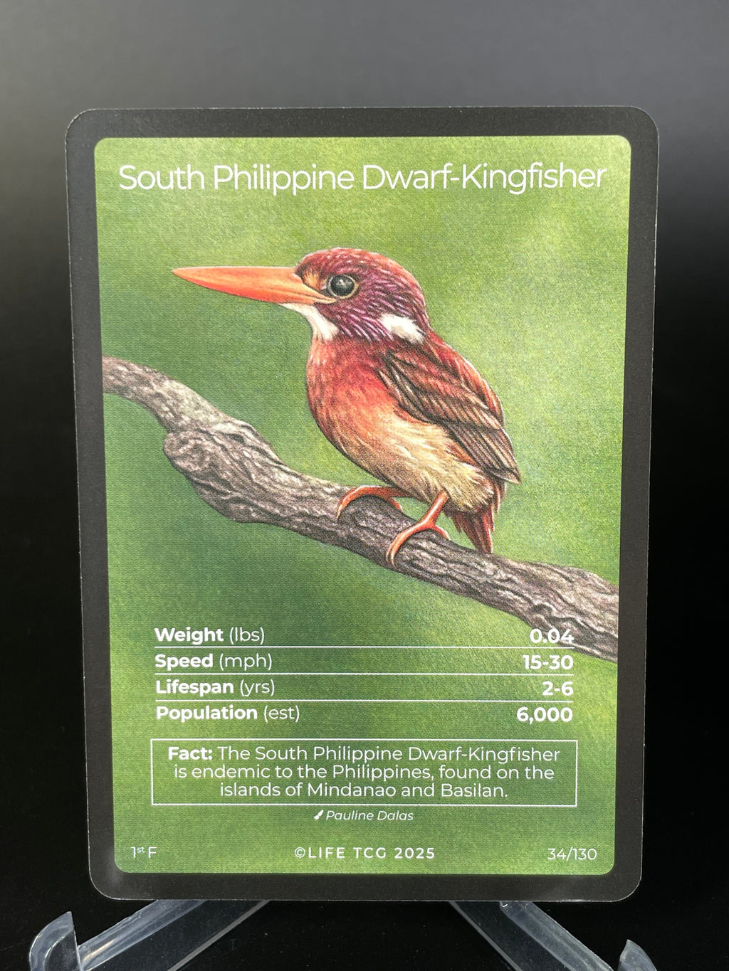 South Philippine Dwarf-Kingfisher — Birds Full Art #34/130 | LIFE TCG | 1st Edition (Pop: 600)